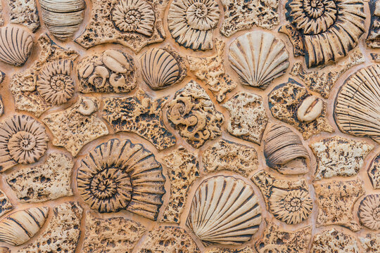 Maritime background with ornaments of shells and snails on a beige wall.