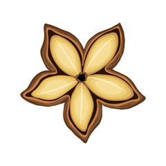 inchi sacha dry cartoon vector illustration color sign