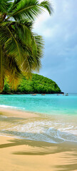Fototapeta na wymiar Fond d'écran téléphone plage des caraïbes, Martinique