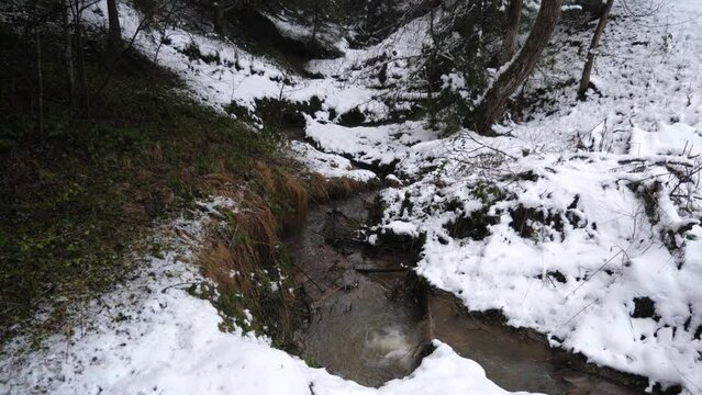 Winter landscape in a forest high in the mountains, camera panorama from a small stream with melting snow to the forest