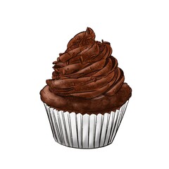 chocolate cupcake isolated on white background
