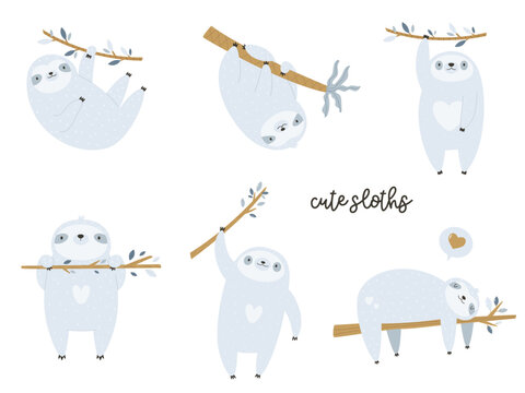 Vector illustration of a group of funny, adorable sloths hanging on trees