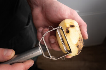 Man is peel potato. Spoiled, rotten potatoes. Disease, tuber illness. Vegetable infected with...