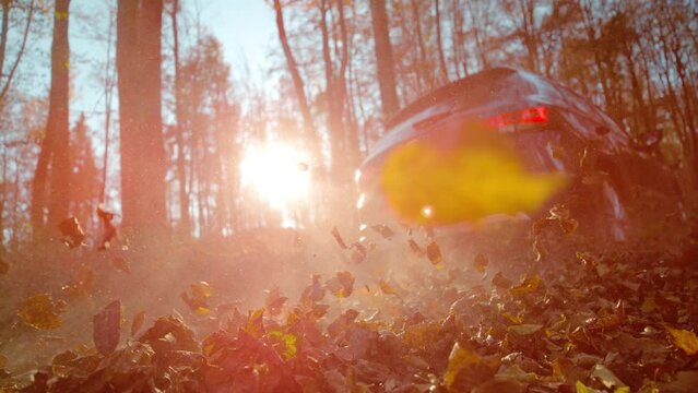 SLOW MOTION, LENS FLARE, LOW ANGLE, CLOSE UP: Big metallic blue SUV drives down a leaf covered forest trail at picturesque autumn sunrise. Scenic shot of an offroad vehicle rising crunchy dry leaves.