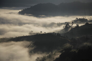 mountain view neture view