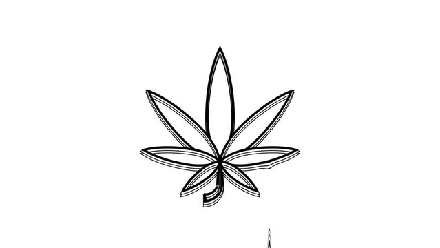 Black Medical marijuana or cannabis leaf icon isolated on white background. Hemp symbol. 4K Video motion graphic animation