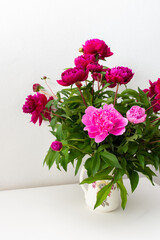 Peonies in a white vase against a white wall, part of a home interior, house decoration with flowers, cozy summer background
