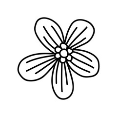  flower line on white background vector illustration using for decoration of text, cards, invitation. Sketch of leaves and flowers.