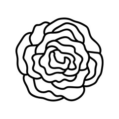  flower line on white background vector illustration using for decoration of text, cards, invitation. Sketch of leaves and flowers.