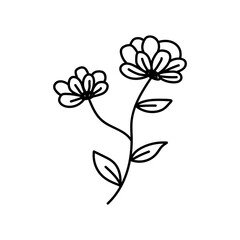  flower line on white background vector illustration using for decoration of text, cards, invitation. Sketch of leaves and flowers.