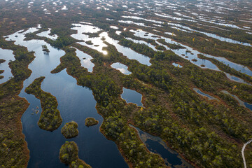 A drone photo of expansive summer swamps with winding streams, tall reeds and grasses, and green and brown wetlands. Capturing the nature scenery of this remote and unspoiled wilderness