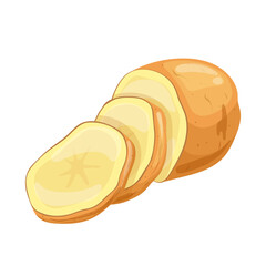 potato cut cartoon vector illustration color sign