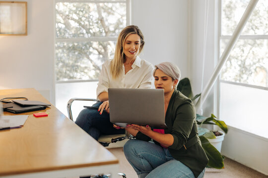 Young businesswomen using a laptop in an office