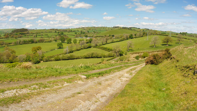 Panoramic landscape view of farms and hills above the town of Corwen in Denbighshire North Wales