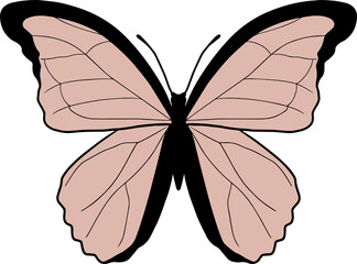 Pastel color butterfly, png file