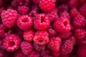 Pile of raspberries. Fruity photo with blurred background.