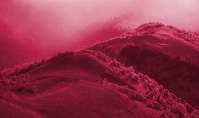 Beautiful  day in mountain in Viva Magenta modern color