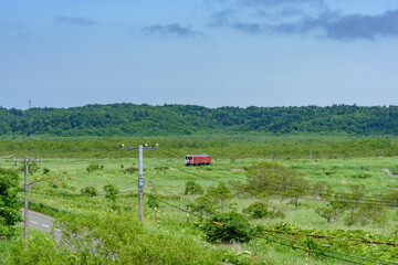 道東厚岸の別寒辺牛（べかんべうし）湿原
