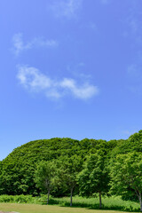 道東厚岸の別寒辺牛（べかんべうし）湿原
