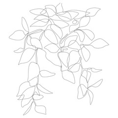 One continuous line of Leaf. Thin Line Illustration vector concept. Contour Drawing Creative ideas.