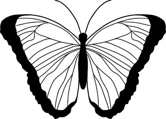 Silhouette of butterfly, flying insect.