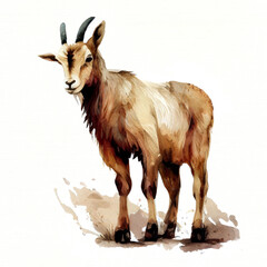 goat, animal, watercolor illustration isolated on white background, generative ai