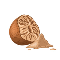 nutmeg food ingredient cartoon vector illustration color sign