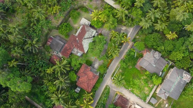 a house in the jungle of sri lanka