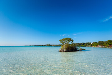 Beautiful lagoon Bacalar in Mexico