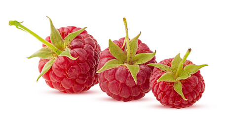 Three ripe raspberries with green leaf