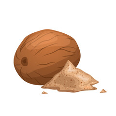 nutmeg food ingredient cartoon vector illustration color sign
