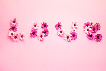 Fototapeta na wymiar Love word written by small pink flowers on pink background, copy space 