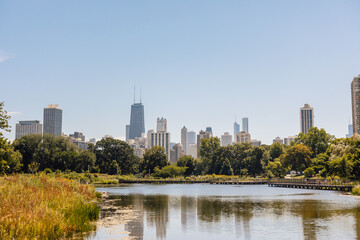 Fototapeta na wymiar Chicago downtown skyline landscape cityscape taken across lake at Lincoln Park on blue sky summer day