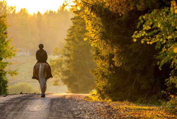 Woman horseback riding in sunset