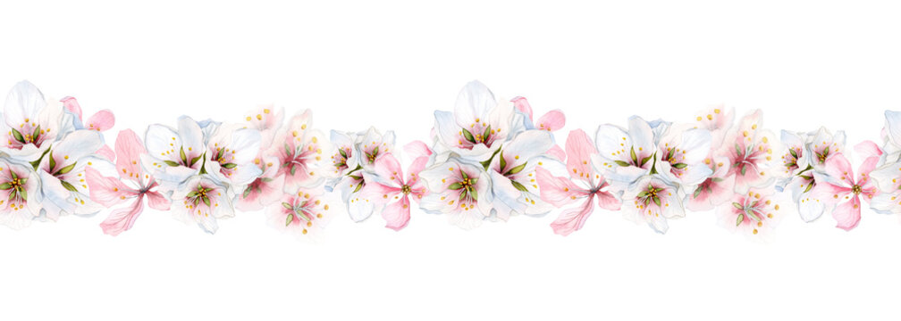 Floral horizontal border with pink and white almond flowers, watercolor seamless pattern with cherry and aspple flowers