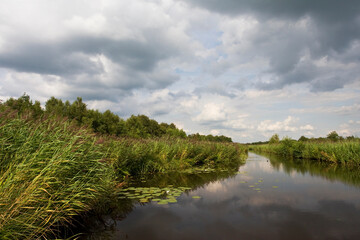 Weerribben, Overijssel, Netherlands