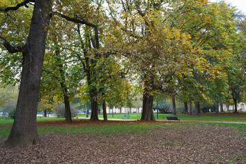 Sempione park in Milan at fall
