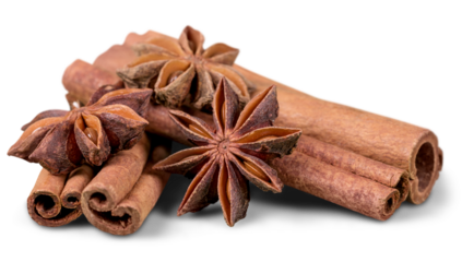 Asian spices anice and cinnamon stick