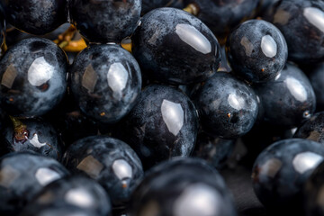 sweet ripe black grapes covered with drops of water