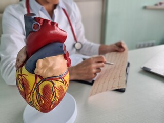 Cardiologist studies electrocardiogram analysis symptoms and makes diagnosis