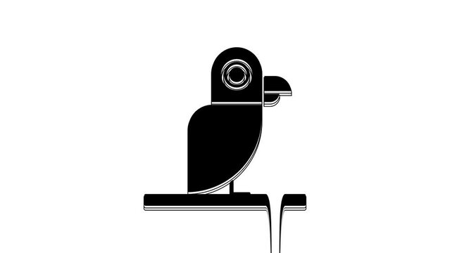 Black Pirate parrot icon isolated on white background. 4K Video motion graphic animation