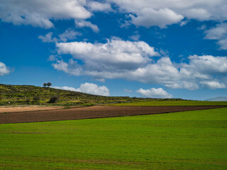 Fototapeta na wymiar Agricultural fields in the north of Israel