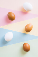 Brown and white chicken eggs on multi color background