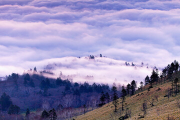 Fototapeta premium 早朝の雲海に浮かぶ森（美幌峠よりー屈斜路湖）