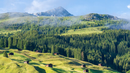 Tux Finkenberg in the austrian alps, Zillertal, Tyrol in summer