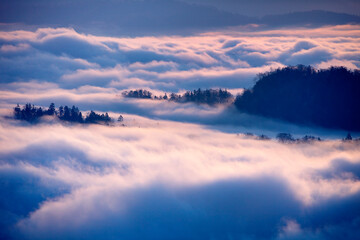 日の出に染まる雲海と森（美幌峠よりー屈斜路湖）