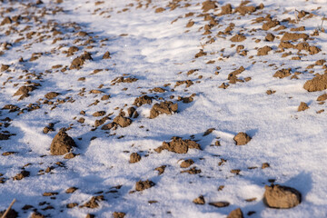Plowed field soil in winter in cold weather