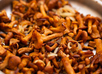 delicious forest mushrooms chanterelles fried in frying pan