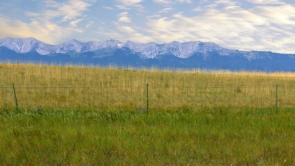 Fototapeta premium Grassland