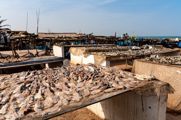 Tanjil Fishing Village, The gambia, Africa